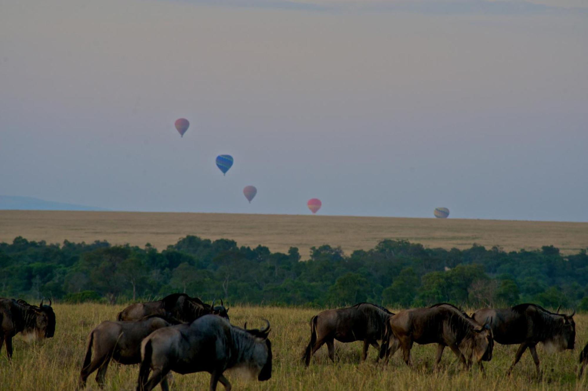 Villa Mara Elatia Camp Maasai Mara Exterior foto